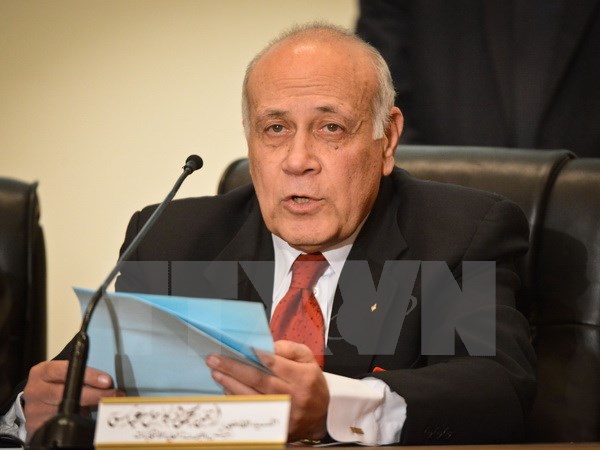 Египет разрешит неправительственным организациям наблюдать за парламентскими выборами